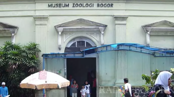 Museum Zoologi IPB
