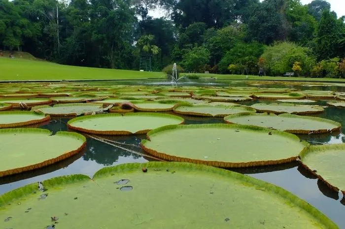 Taman Botani Bogor