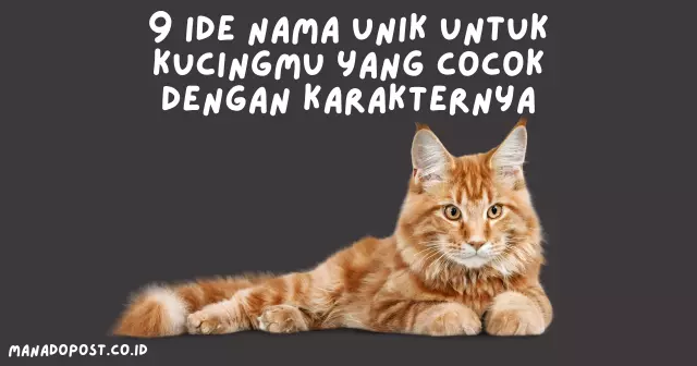 9 Ide Nama Unik untuk Kucingmu yang Cocok dengan Karakternya